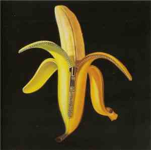 The Dandy Warhols - Welcome To The Monkey House