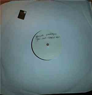 Roger Sanchez - You Can't Change Me