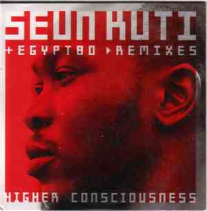 Seun Kuti + Egypt 80 - Higher Consciousness (Remixes)