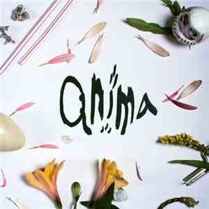Team Rockit  - Anima
