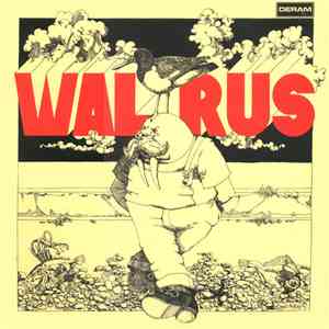 Walrus  - Walrus