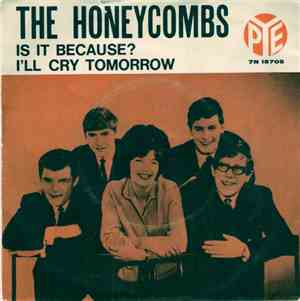 The Honeycombs - Is It Because