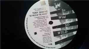 Tony Shayne - Wild House / So Wild