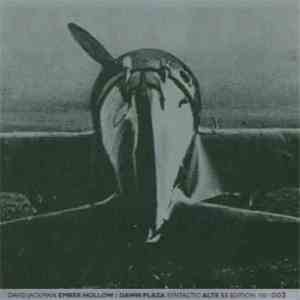 David Jackman - Ember Hollow / Dawn Plaza