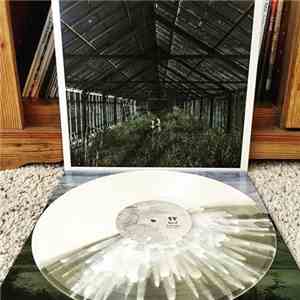 Foxing - Dealer