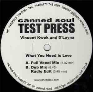 Vincent Kwok & D'Layna - What You Need Is Love
