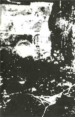 DROWNED RAT - SECLUDED