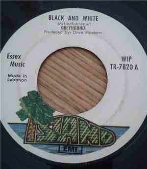 Greyhound  - Black And White