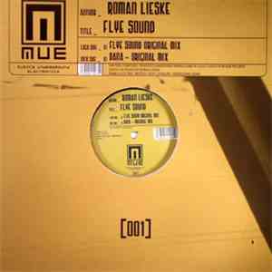 Roman Lieske - Flye Sound
