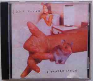 Sonic Youth - A Thousand Leaves