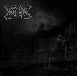 Niedergang -  Delirium Aeternum