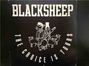 Black Sheep - The Choice Is Yours