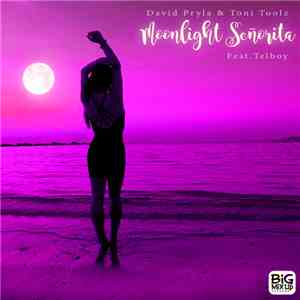 David Pryla, Toni Toolz - Moonlight Señorita Ft Telboy (Swing Deep Mix)