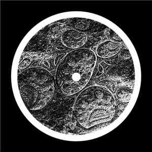 BLNDR - Phased