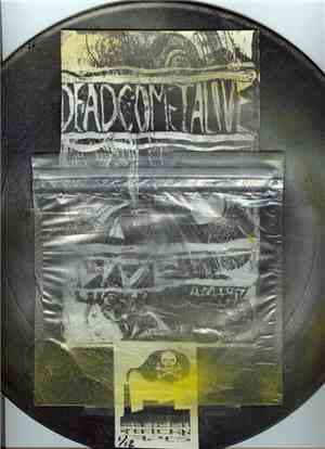 Dead Comet Alive - Live