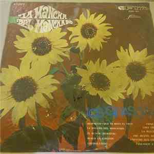 LOS GIRASOLES - LA MANCHA DEL MANCHADO