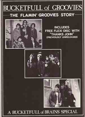 The Flamin' Groovies - Thanks John
