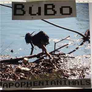 Bubo - Apophenianimals