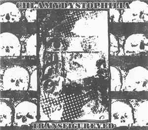 Chlamydystophilia - Transfigureyed