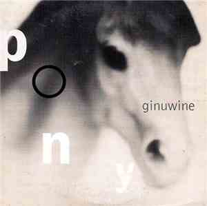 Ginuwine - Pony