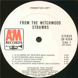 Strawbs - From The Witchwood