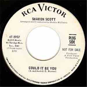 Sharon Scott  - Could It Be You