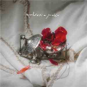 Team Rockit  - Ambrosia Junkie