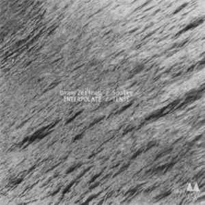 Unam Zetineb / Soolee - Interpolate / Tense