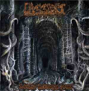 Dissect  - Swallow Swouming Mass