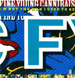Fine Young Cannibals - I'm Not The Man I Used To Be