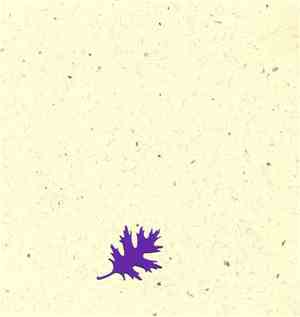 Matthew Mullane - Sound-shapes From Rural Ohio