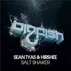Sean Tyas & Hirshee - Salt Shaker