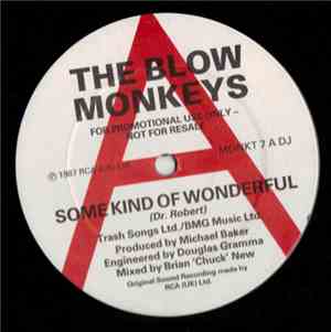 The Blow Monkeys - Some Kind Of Wonderful