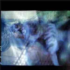 Accelera Deck - Tumult EP