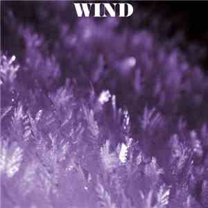 Wind  - Wind & Friends