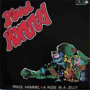 Pavol Hammel - A Rose In A Jelly