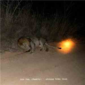 The One (Family) - strong like lion