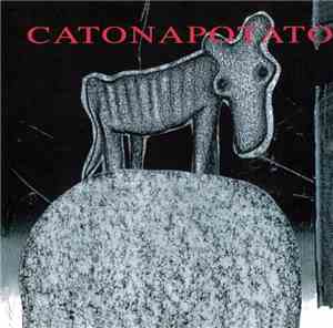 Volcano The Bear - Catonapotato