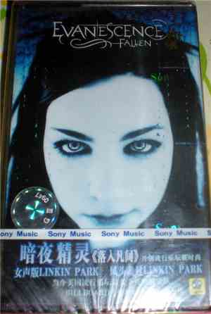 Evanescence - Fallen
