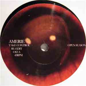 Amerie / Tom Ze - Take Control