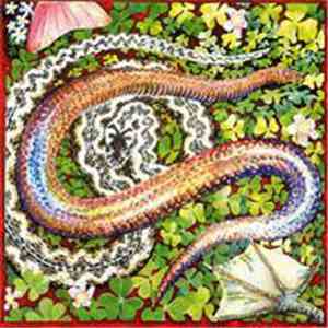 Marc Ducret / Bobby Previte - In The Grass