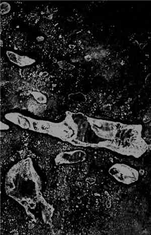 6.16.48./4.8.3. - Untitled