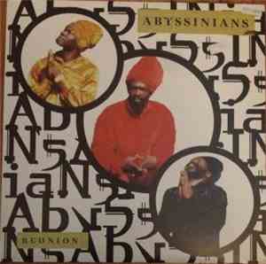 Abyssinians - Reunion