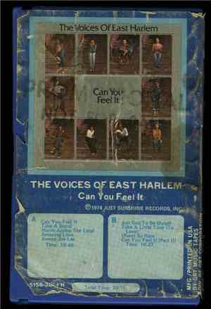 The Voices Of East Harlem - Can You Feel It