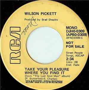 Wilson Pickett - Take Your Pleasure Where You Find It