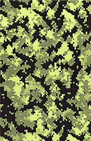 Camo  - Demo 1