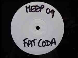 Fat Coda - The Skin I'm In / Lady Groove