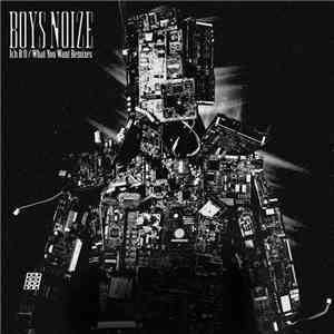 Boys Noize - Ich R U / What You Want Remixes