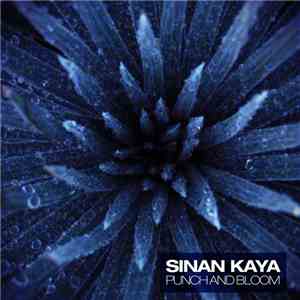 Sinan Kaya - Punch And Bloom
