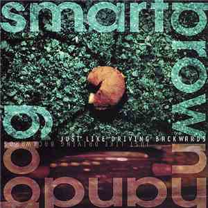 Smart Brown Handbag - Just Like Driving Backwards